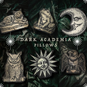 May include: Decorative pillows with a dark academia theme. The pillows feature illustrations of a cat, frog, crescent moon, owl, sun, and raven. The text "DARK ACADEMIA PILLOWS" is displayed in the center.