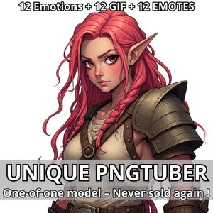 May include: Digital art of a female character with pink hair, pointed ears, and armor. The image includes text that reads "12 Emotions + 12 GIF + 12 EMOTES" and "UNIQUE PNGTUBER, One-of-one model - Never sold again!"