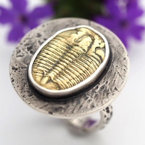Size 7.5 - Sterling Silver Brass Trilobite Ring - Trilobite Fossil Ring - Rustic Silver and Brass casting Ring - US size 7 1/2
