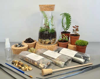 DIY Terrarium Kit with Plants - Vase Kit- Complete Starter Kit with Bun Moss, Premium Substrate, and Tools - Perfect for Beginners and gifts