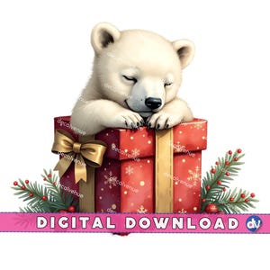 Orso polare in scatola regalo di Natale PNG Download digitale Clipart Arte stampabile Dtg Dtf Tazze T-shirt Design di stampa a sublimazione