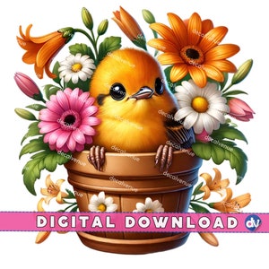 Oriole Bird Peeking Out of Flower Pot PNG Digital Download Clipart Printable Art for Dtg Dtf Apparel Mugs T-Shirts Sublimation Design Print