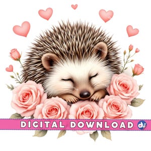 Hérisson endormi avec des coeurs et des roses PNG en téléchargement numérique Clipart imprimable Art Dtg Dtf Mugs T-Shirts Sublimation Design impression