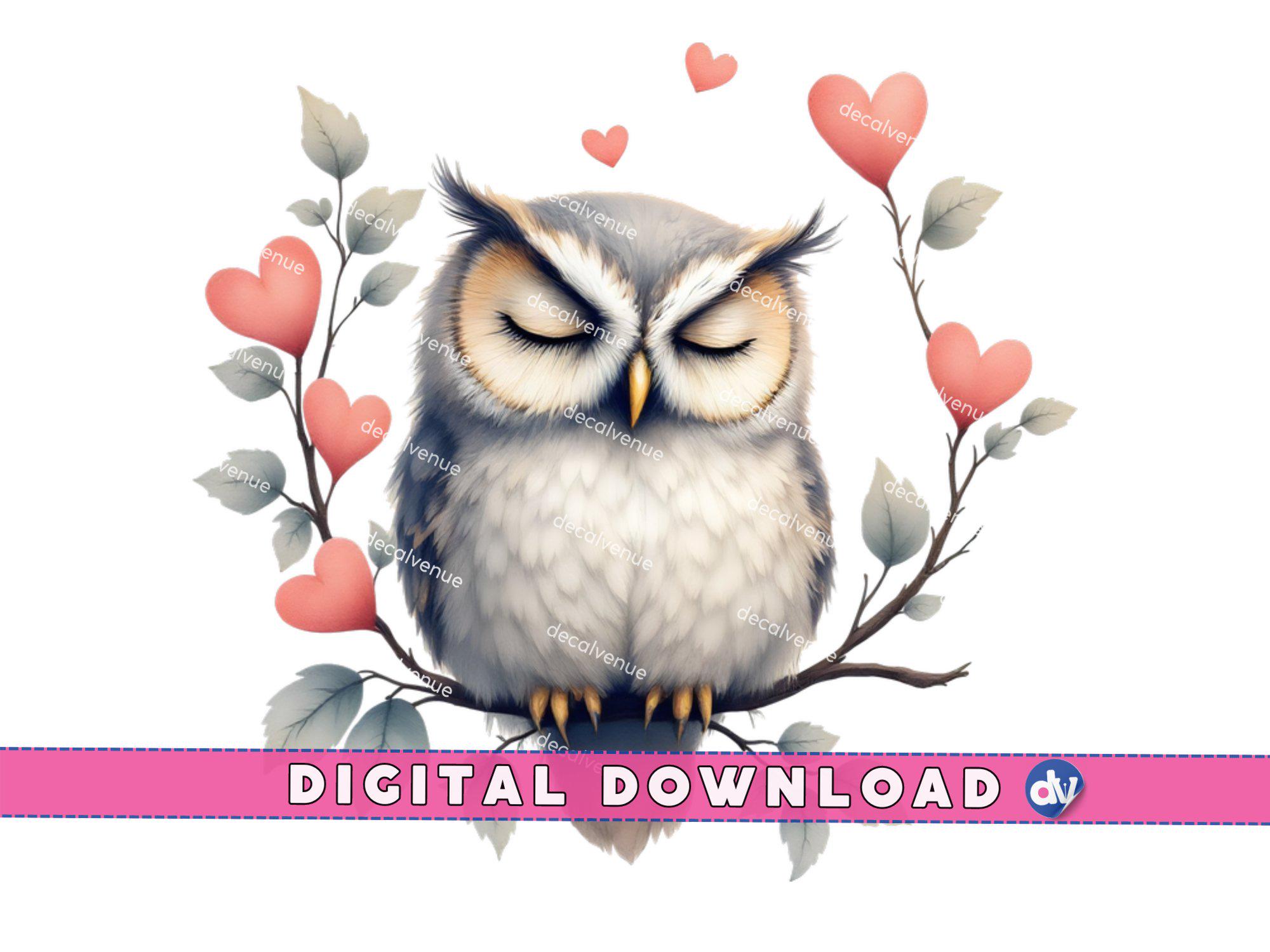 Napping Owl with Heart Branches PNG Digital Download Clipart Printable Art Dtg Dtf Mugs T-Shirts Sub