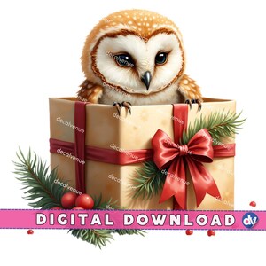 Gufo nella scatola regalo di Natale PNG Download digitale Clipart Stampabile Arte Dtg Dtf Tazze T-shirt Design di stampa a sublimazione