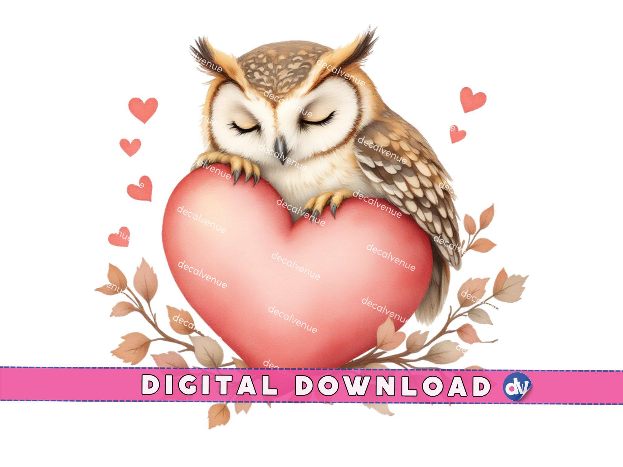 Sleeping Owl on a Heart PNG Digital Download Clipart Printable Art Dtg Dtf Mugs T-Shirts Sublimation