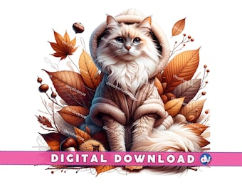 Könnte beinhalten: Eine flauschige weiße Katze mit einem braunen Kapuzenpullover sitzt in einem Haufen Herbstlaub. Die Katze hat blaue Augen und eine rosa Nase.