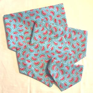 Watermelon Seeds Pet Bandana
