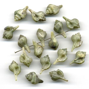 Vintage Seashell Beads Warm Green Color Plastic, 22mm Long, Good Detail, Made in Western Germany, 18 Pcs.