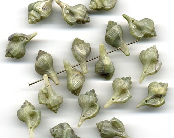 Vintage Seashell Beads Warm Green Color Plastic, 22mm Long, Good Detail, Made in Western Germany, 18 Pcs.