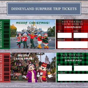 Christmas Anaheim Theme Park Mickey surprise visit trip Holiday vacation ticket boarding pass- Digital Download PDF Printable