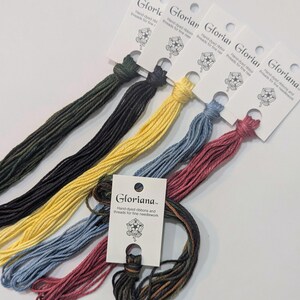 May include: A collection of six skeins of Gloriana hand-dyed threads for fine needlework, each attached to a white card. The threads feature a variety of solid and variegated colors, including dark green, black, yellow, light blue, and pink.