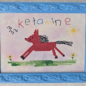 Puede incluir: Arte de punto de cruz en un marco azul claro. La obra presenta un caballo rojo con crin y cola negras, corriendo por un campo verde. La palabra "ketamine" está cosida en letras coloridas sobre el caballo, con un sol amarillo y flores.