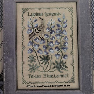 Könnte beinhalten: Ein gerahmtes Kreuzstichbild von Texas Bluebonnets mit blauen und grünen floralen Details. Die Texte "Lupinus texensis" und "Texas Bluebonnet" sind über und unter den Blumen gestickt. Der Rahmen ist ein verwittertes Grau.