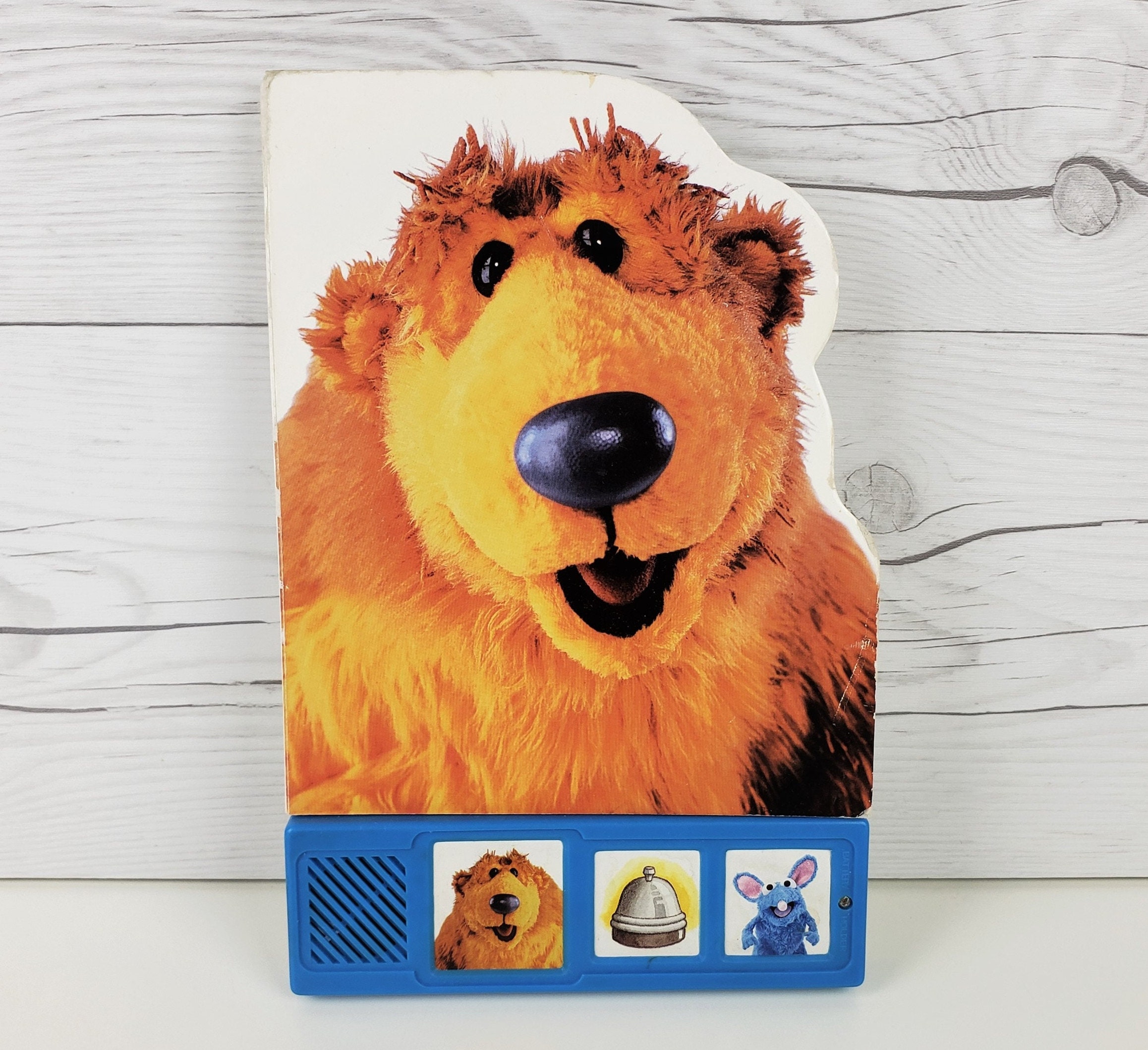 Bear In The Big Blue House Books