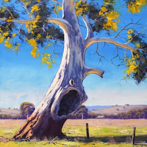 Eucalyptus trees, large landscape, Australian Landscape Painting, oil painting, trees  painting, gum trees, farm,  Graham Gercken