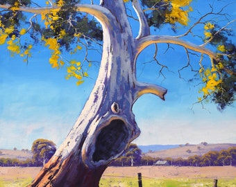 Eucalyptus trees, large landscape, Australian Landscape Painting, oil painting, trees  painting, gum trees, farm,  Graham Gercken