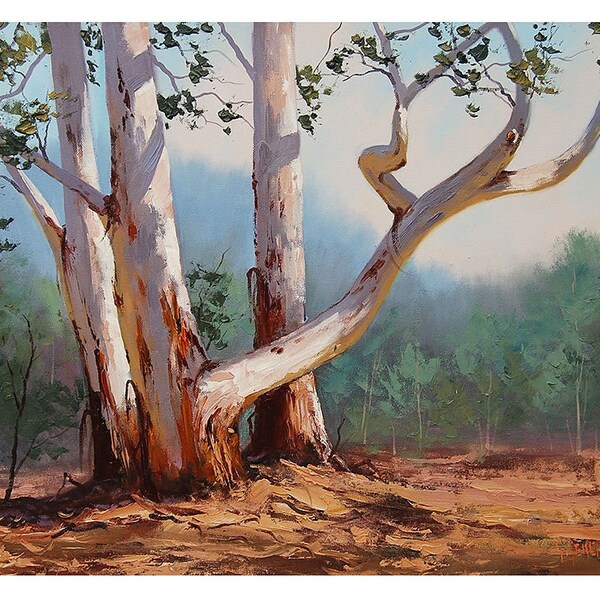 Eucalyptus Trees Original Signed oil painting by G.Gercken
