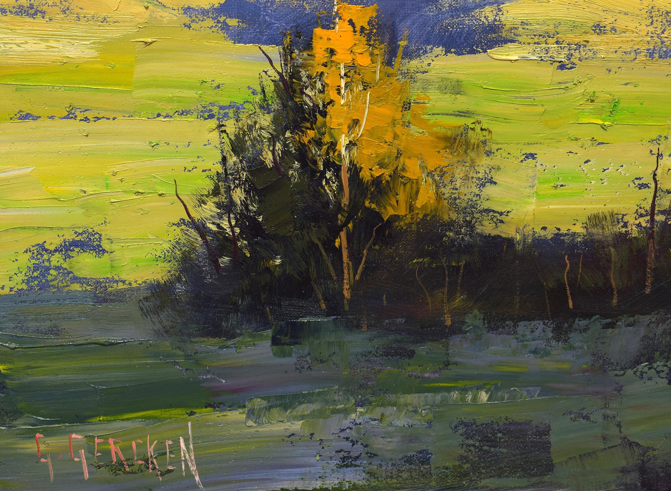 オーストラリアの風景、春、緑の丘、田園風景、風景画、油絵、マジー