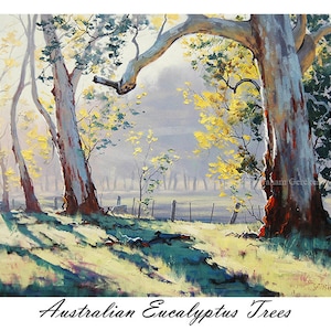Printable painting wall art prints from my Original Oil Painting Australian Eucalyptus trees
