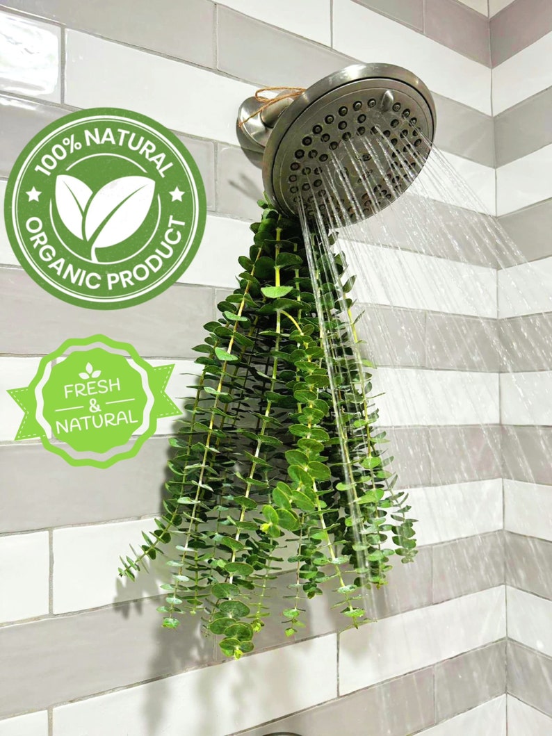 Fresh Eucalyptus Bouquet, 17 Real Eucalyptus for Shower Hanging, 100