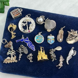 May include: A collection of 18 silver charm pendants on a blue velvet background. The charms feature various designs, including a seashell, a flip-flop, a palm tree, a shark, a castle, and a mermaid.