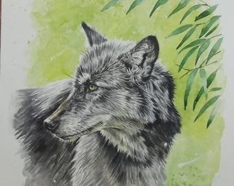 Wolf - Original Watercolour Painting