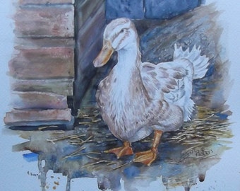 Duck - Original Watercolour Painting