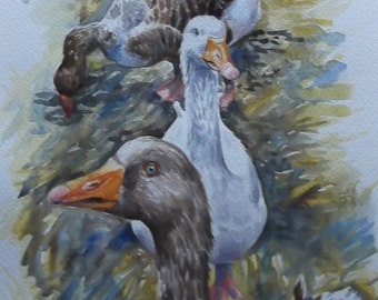 Geese - Original Watercolour Painting