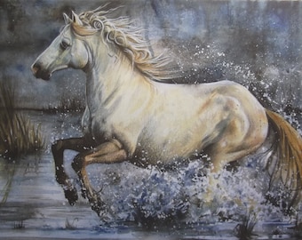 Print of Wild Water Horse