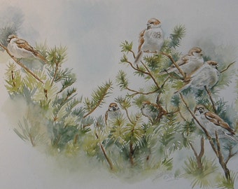 Tree Sparrows - Original Painting