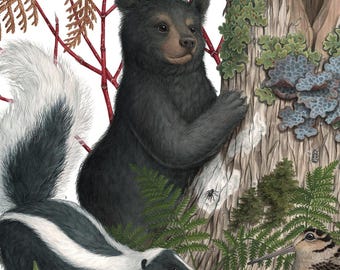 May include: A detailed illustration of woodland animals and birds, including a black bear, skunk, and various bird species. The artwork features a tree stump and branches with red accents, and the word "MARCH" is visible.