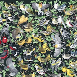 Warblers of North America (Dark Background), signed poster 18X24"