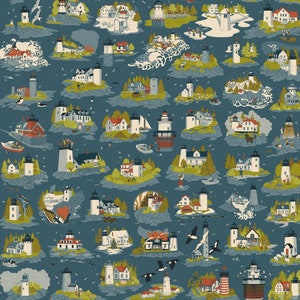 May include: A colorful illustrated poster featuring 38 lighthouses of Maine. Each lighthouse is depicted on a small island with various details like trees, rocks, birds, and boats. The poster is titled "Lighthouses of Maine" and includes a list of the lighthouses and their locations.