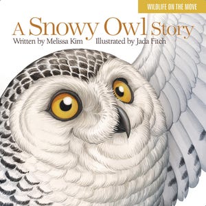 May include: A square book cover featuring a detailed illustration of a snowy owl with bright yellow eyes and a black beak. The title "A Snowy Owl Story" is displayed in large, elegant font, with the author and illustrator's names below. The book is part of the "Wildlife on the Move" series.