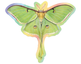 Holographic Luna Moth Sticker