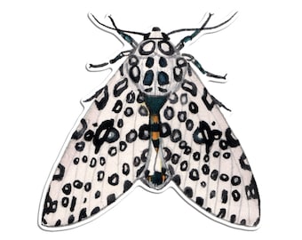 Giant Leopard Moth Vinyl Sticker
