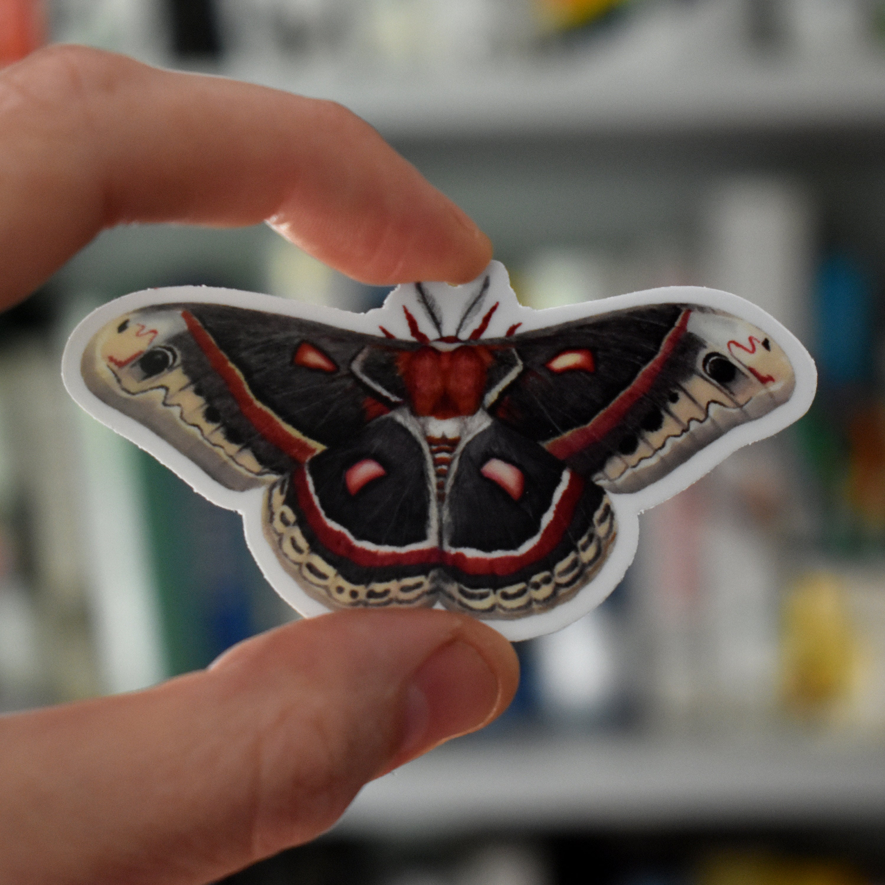 Cecropia Moth Sticker – TeaToucan