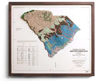 Mapa de Carolina del Sur de 1979 / Relieve en 3D REAL