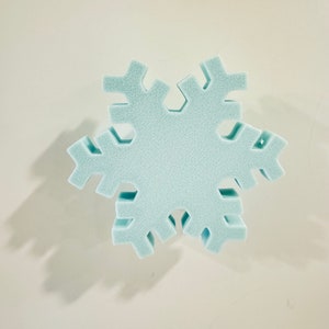 May include: A light blue snowflake-shaped foam ornament.