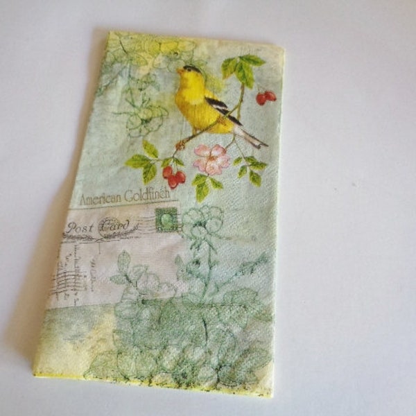 4 Bird Floral  Paper Napkins Decoupage Collage Altered Art Crafts