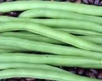 May include: A bunch of green string beans, laid out on a bed of black beans.