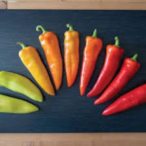 Peppers -HOT Hungarian Wax seeds