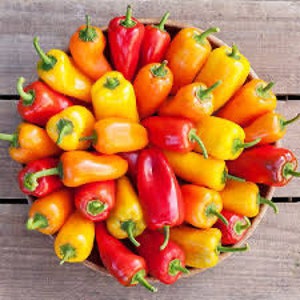 Peppers-Mini Snack Pepper Mix  seeds