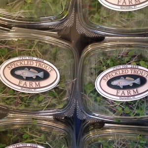 Microgreen seeds -spicy mix -includes radish, broccoli, arugula, and kale