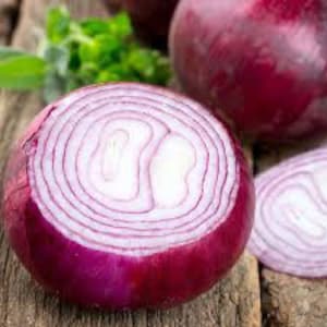 Onion Red Grano Seeds