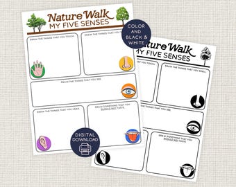Nature Walk My Five Senses, Hiking Printable, Kids Camping Activity, Learning Challenge, Nature Play, Preschool, 5 Senses Worksheet, Hunt