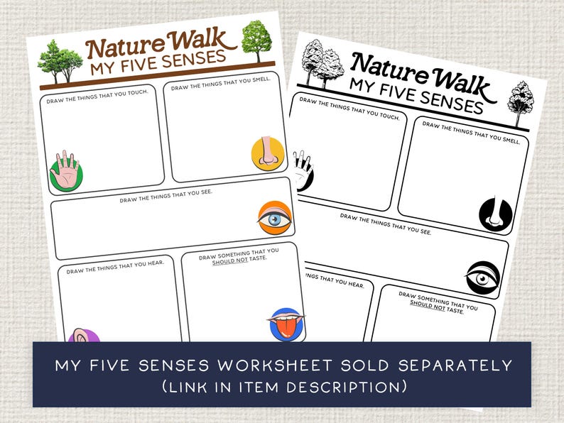 May include: Two "Nature Walk My Five Senses" worksheets. Each worksheet has sections for drawing what you touch, smell, see, hear, and taste. The worksheets include illustrations of a hand, nose, eye, ear, and tongue. Text at the bottom: "MY FIVE SENSES WORKSHEET SOLD SEPARATELY (LINK IN ITEM DESCRIPTION)".