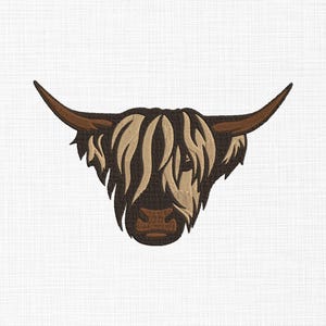 May include: A close-up of a Highland cow's head with long, shaggy brown and white fur. The cow has large, dark brown eyes and a brown nose.