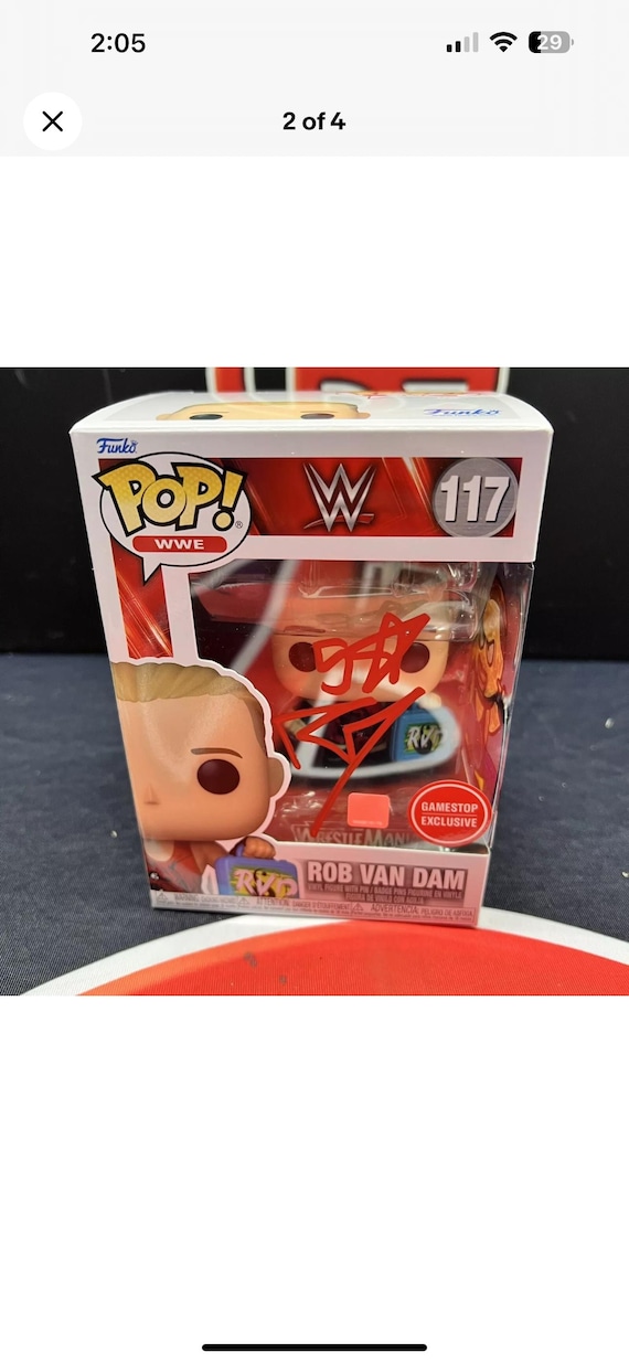 Rob Van Dam WWE Funko Custom Painted! 1/1
